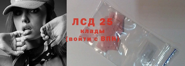 прущие грибы Балахна