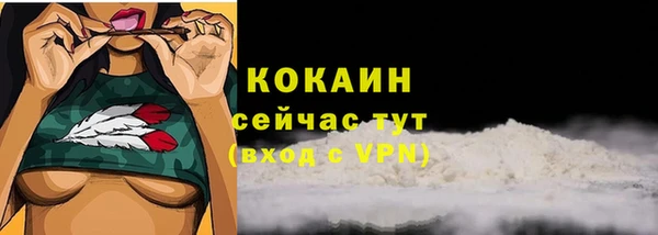 мяу мяу мука Арсеньев