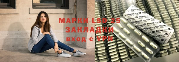 прущие грибы Балахна