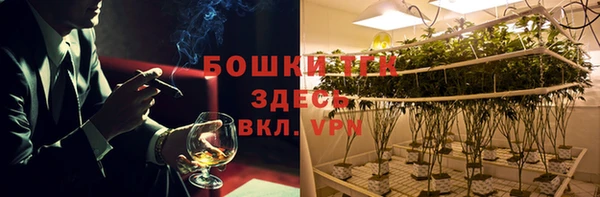 прущие грибы Балахна